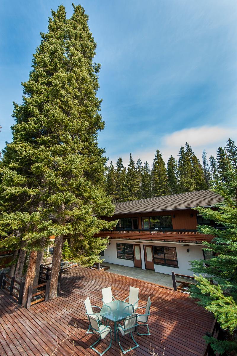 The Dorothy Motel Banff Exterior photo
